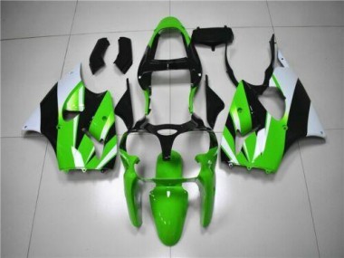 Verde Branco Preto Carenagem Moto Kawasaki ZX6R 00-02